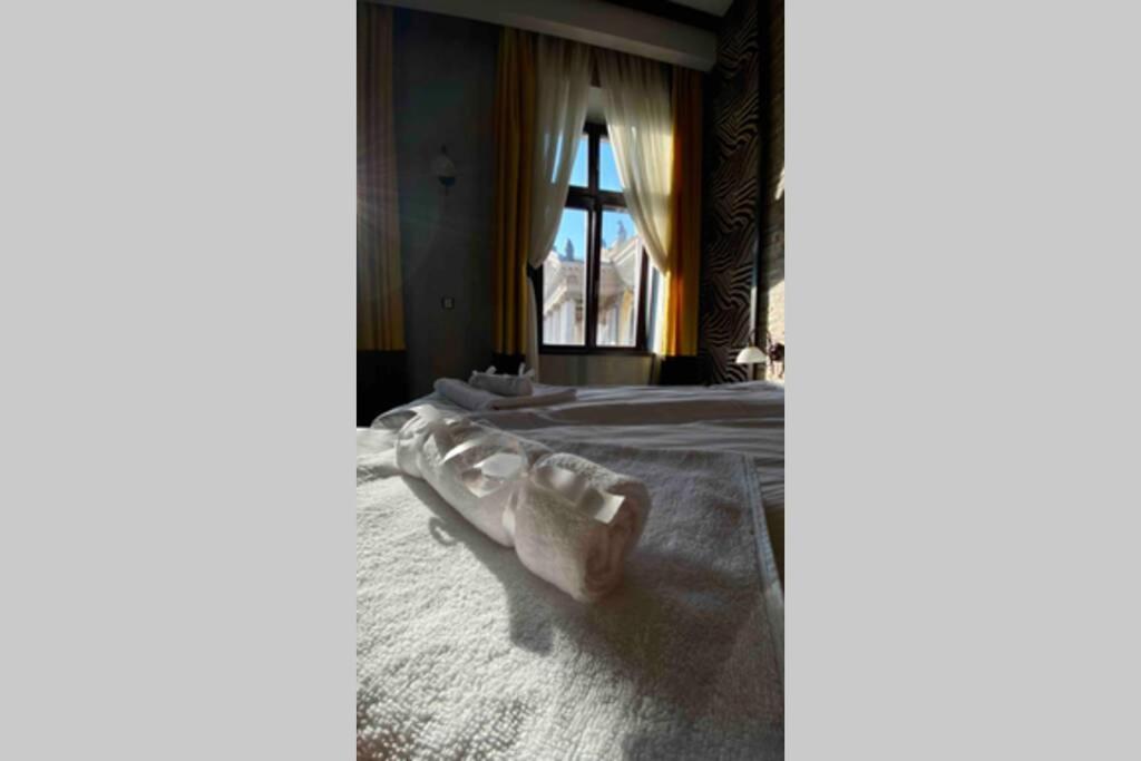 Safari Royal Apartment Oradea Exteriér fotografie